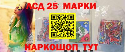 гидра Бердск