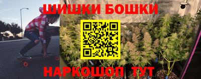 гидра Бердск