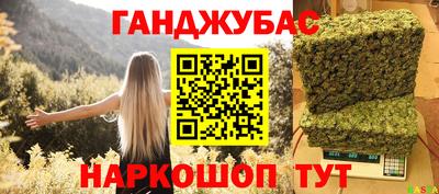 гидра Бердск