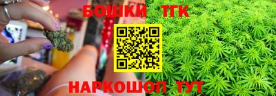 гидра Бердск