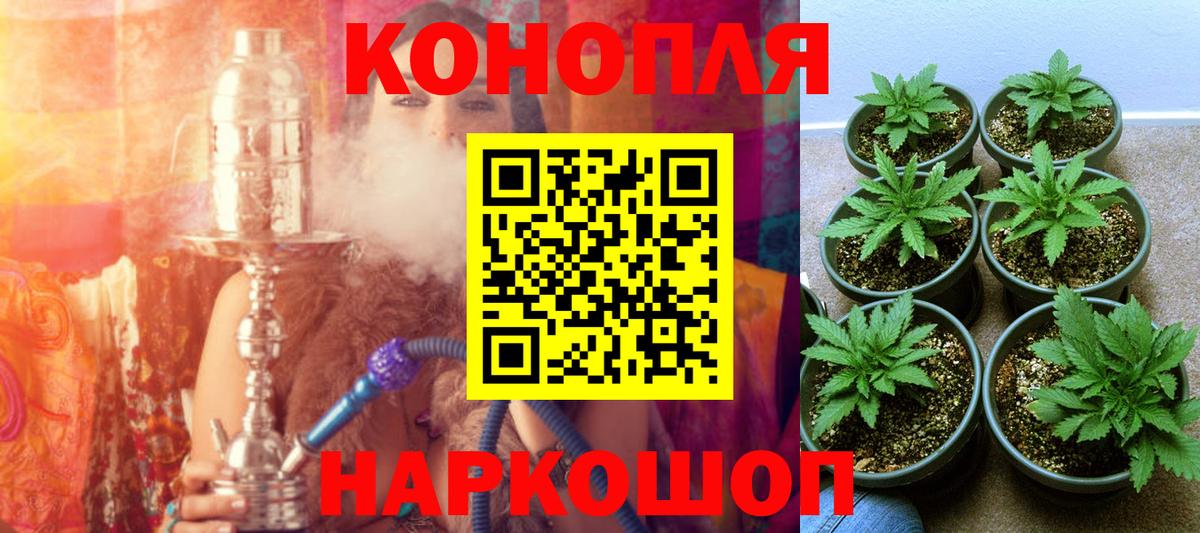 Марихуана конопля Анапа